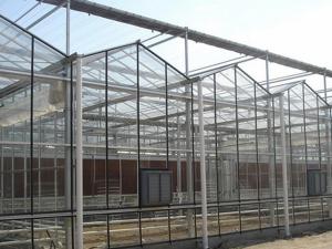 鋼架大棚選址的時候要注意什么？